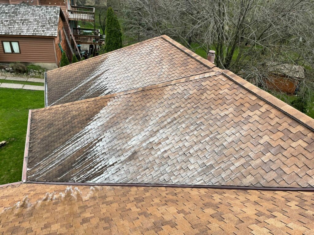 Roof Cleaning