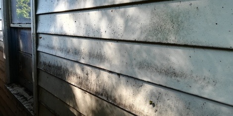 Soft wash siding - before