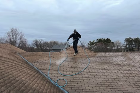 Roof Cleaning