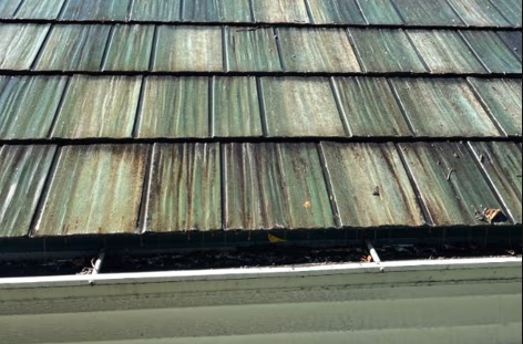 Metal Roof Cleaning
