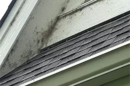 Cobweb Removal In Orono, MN