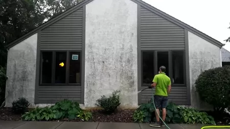 Cobweb Removal In Orono, MN