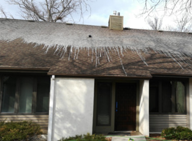 roof cleaning