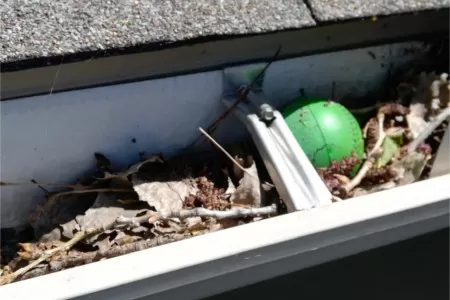 Gutter Cleaning