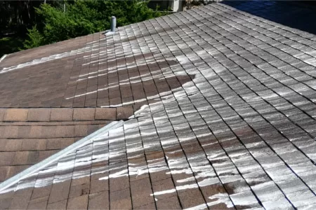 Roof Cleaning