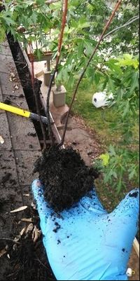 gutter cleaning