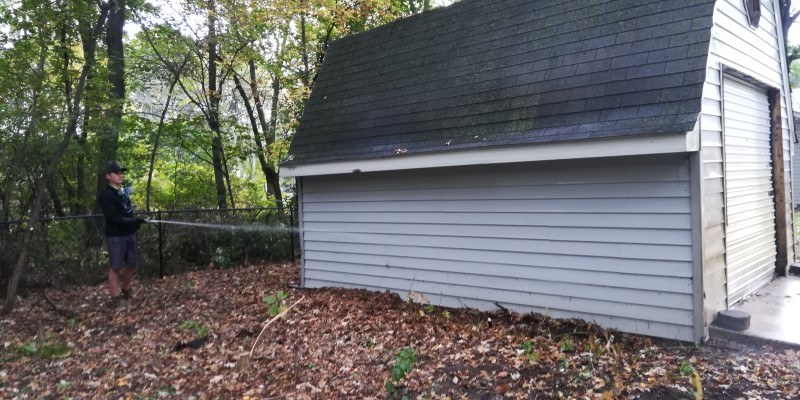 Cobweb Removal In Orono, MN