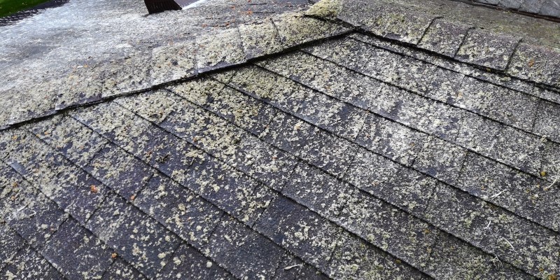 Proactive Roof Maintenance: How Roof Washing Prevents Potential Leaks Proactive Roof Maintenance: How Roof Washing Prevents Potential Leaks