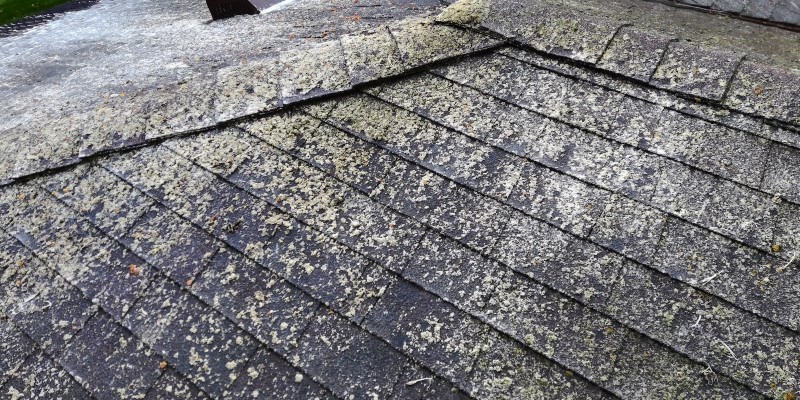 Proactive Roof Maintenance: How Roof Washing Prevents Potential Leaks