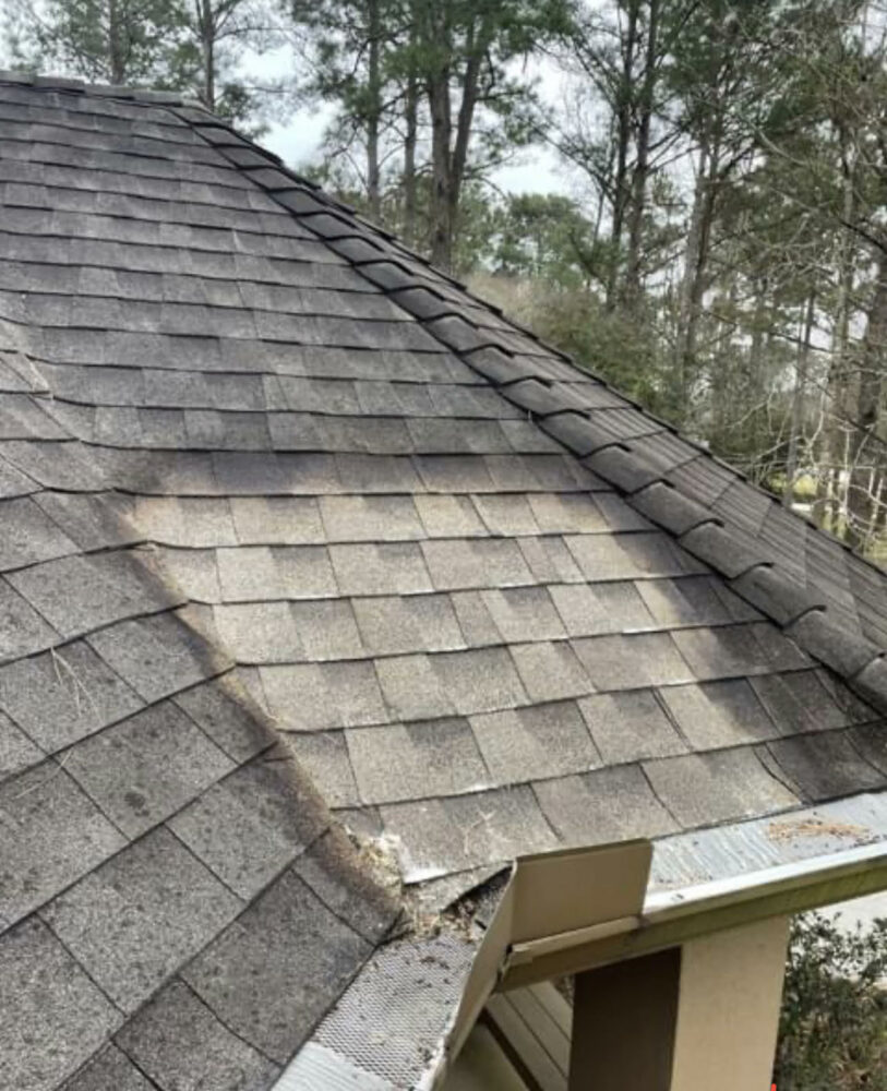 roof cleaning