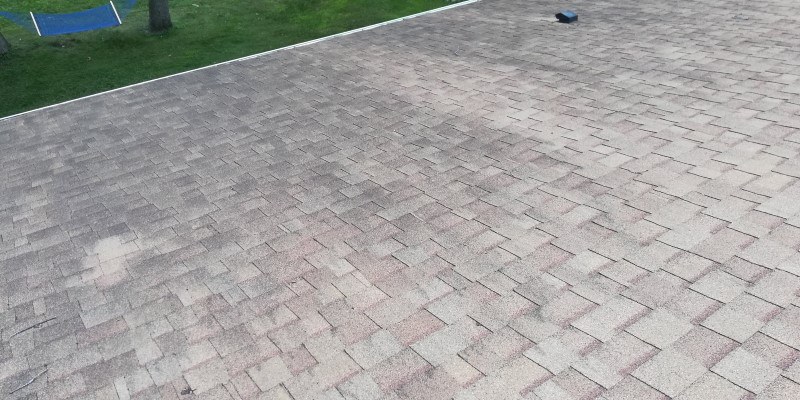 Roof Washing In Lino Lakes, MN