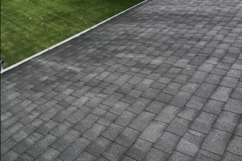 shingle cleaning