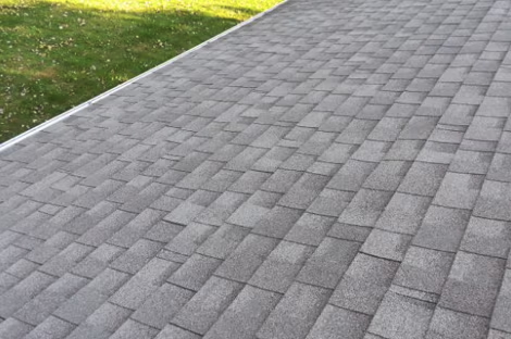 shingle cleaning
