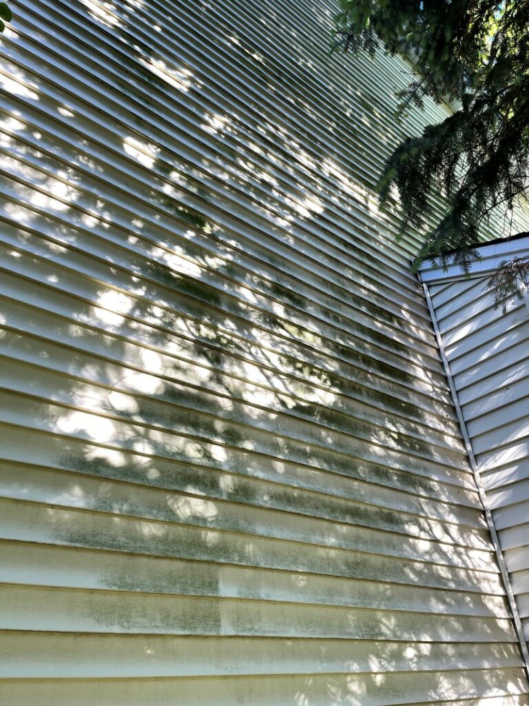 Siding Cleaning In Burnsville, MN