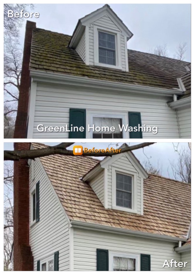 St Paul roof cleaning